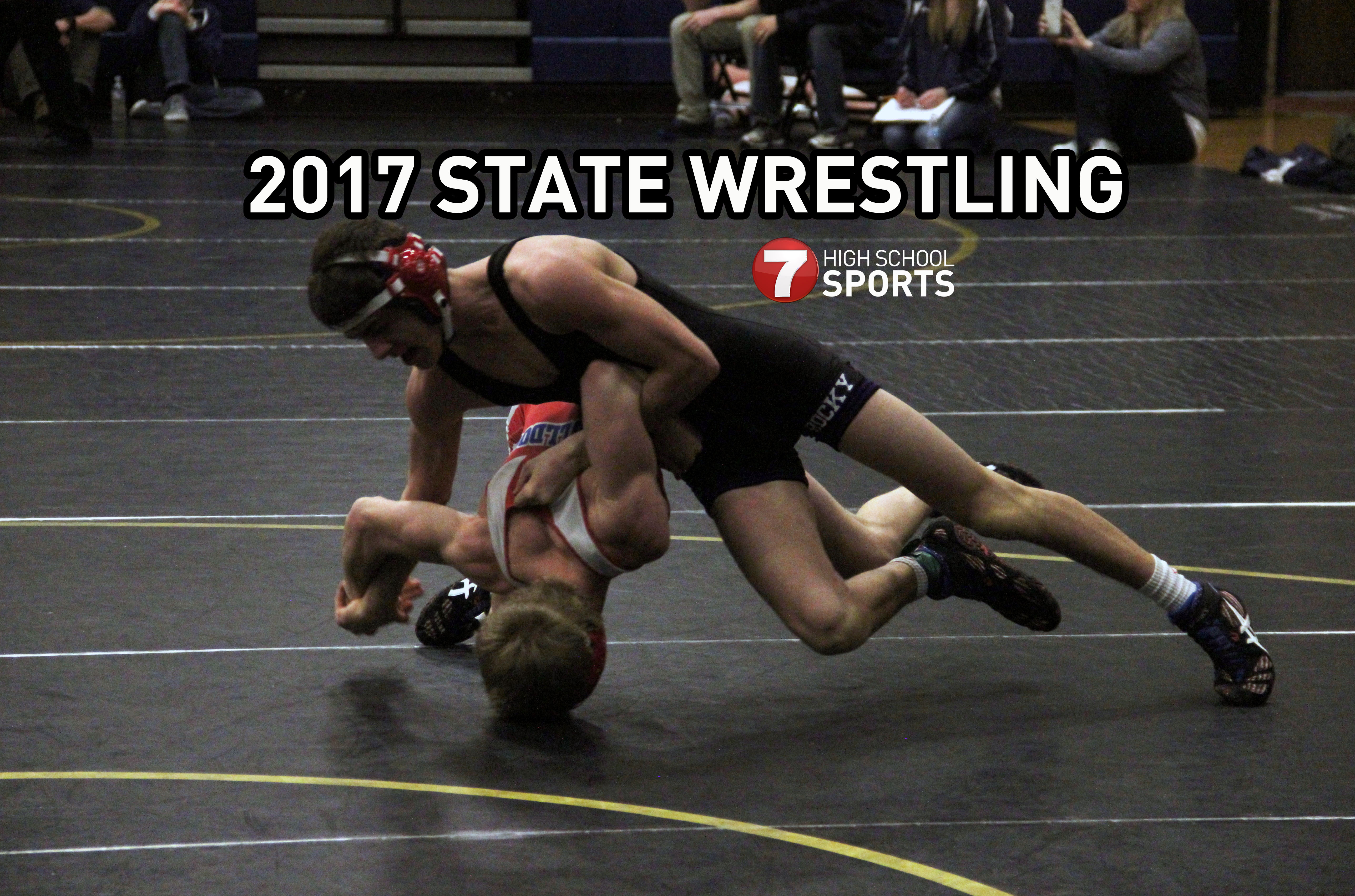 2017 State Wrestling Championships